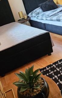 Muran Apartamento | Ubytovanie Sosna Muráň