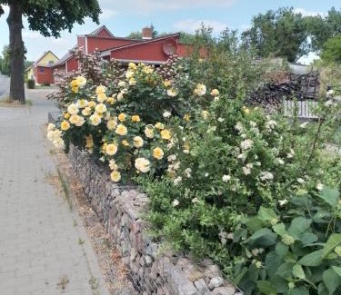 Passow Apartamento | Uckermark "Ferienwohnung Sommerfugl "