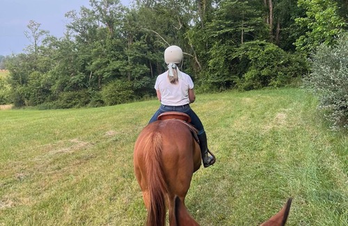 Batesville Casa | UHE - Unforgettable Equestrian Adventure in the Blue Ridge Mountains