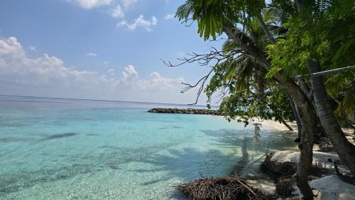 Felidhoo Casa | Uhoo's Lavish Oasis