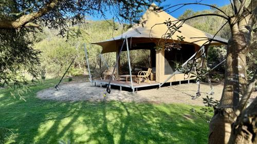 Fingal Otro | Ukiyo Nature Retreat