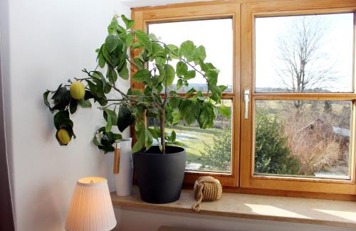 Rottenbuch Apartamento | Ultra Alpes Luitpold