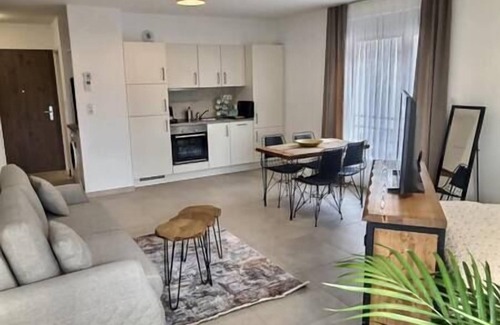 Bourgfelden Apartamento | Ultra comfortable bright studio near the center of Basel