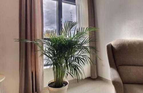 Bourgfelden Apartamento | Ultra comfortable bright studio near the center of Basel