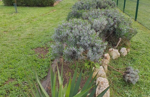 Mauzac Casa | Un p'tit coin tranquille