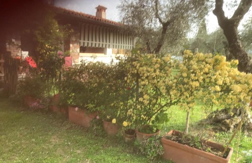 Moniga del Garda Apartamento | Una casa tra gli olivi 1 Moniga del Garda