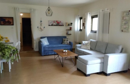 Aseret Casa | Under The Fig Tree