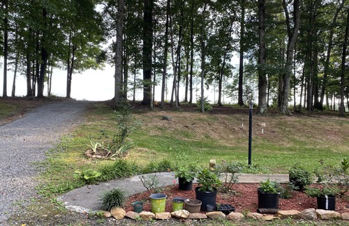 Dobson Casa | Under the trees home , in a peaceful country place. Close to hiking destinations