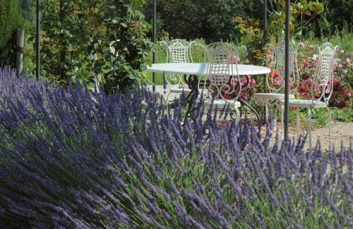 Bras Casa | Une Campagne En Provence