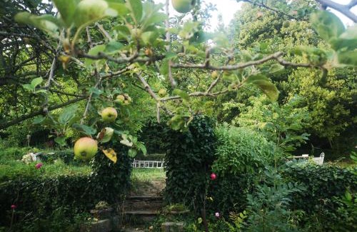 Saint-Pons-de-Thomieres Casa | Une chambre au jardin