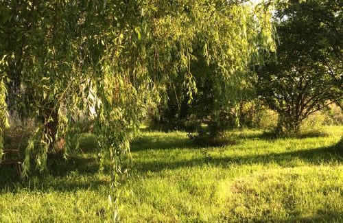 Berthenay Casa | Une Maison, Un Jardin