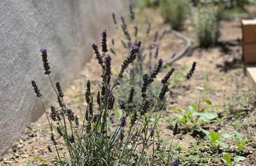 Puyvert Casa | Une nuit en Luberon