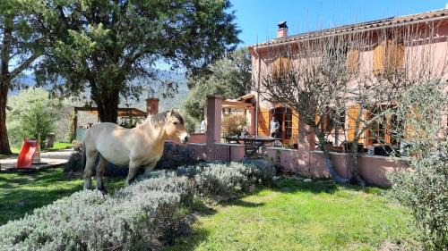 Bormes-Les-Mimosas Casa | UNE PAUSE EN FORET A LA FERME