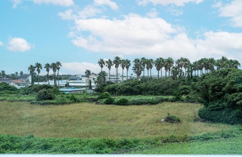 Andeok Casa | Unicorn Jeju