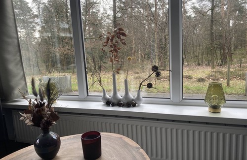 Beekbergen-West Chalet De Esquí | Unieke, rustige plek met veel privacy aan de bosrand op Veluwe park Lierderholt!