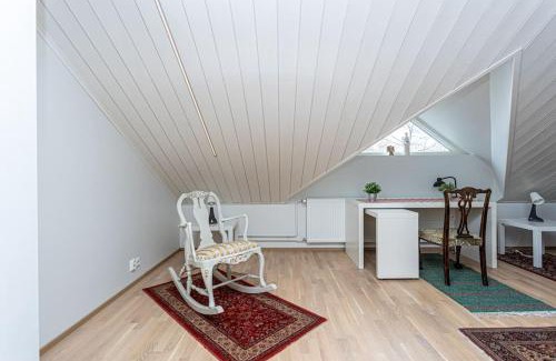 Downtown Kuopio Apartamento | Uniikki kattohuoneisto ydinkeskustassa, lämmin pysäköinti, max 6 hlöä