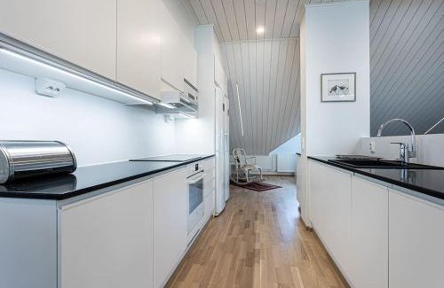 Downtown Kuopio Apartamento | Uniikki kattohuoneisto ydinkeskustassa, lämmin pysäköinti, max 6 hlöä