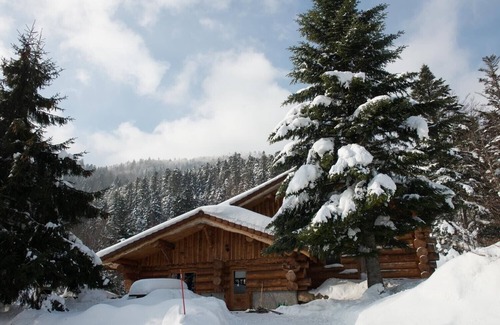 La Bresse Chalet De Esquí | Único en el chalet de La Bresse de 220 m², grupo, familia, wifi, cerca de pistas