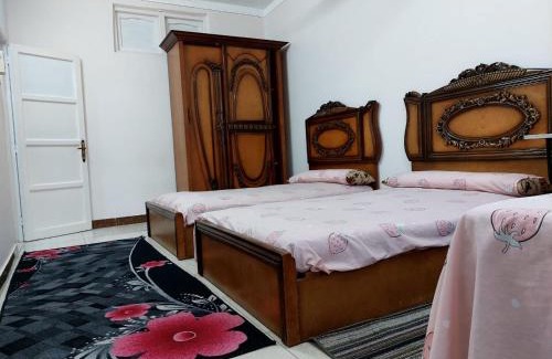 Shibin al Kawm Apartamento | Unique apartment