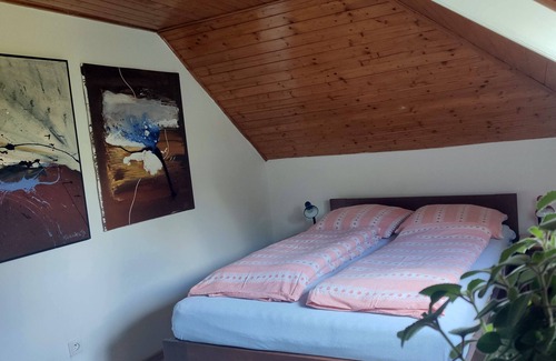 Zlin Casa | Unique attic with garden, library, bathtub, wifi & free parking