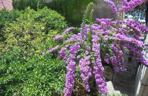 Cavtat Old Town Apartamento | Unique Cavtat Center Apartment