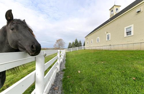 Geneva Casa | Unique Finger Lakes Converted Horse Barn with Patio!