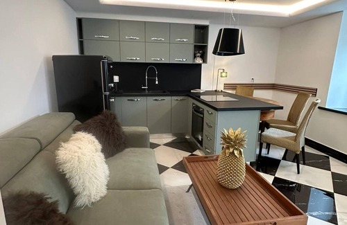 Losone Apartamento | Apartamento único en Losone