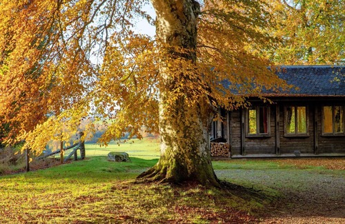 Nairn Cabina | Cabina noruega única encaramada sobre el río Findhorn con una vista impresionante