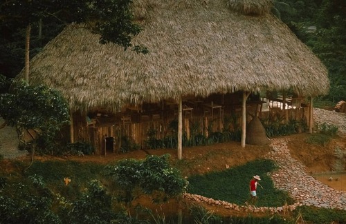 Samana Casa | Propiedad única en una exuberante selva con río y a pocos pasos de la playa.