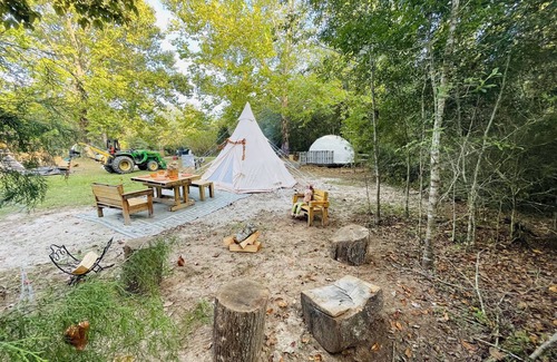 Tallahassee Alquiler De RV | Unique SandyLand FARMSTAYS GLAMPING TeePee w/ mini horses/cows/goats/chickens