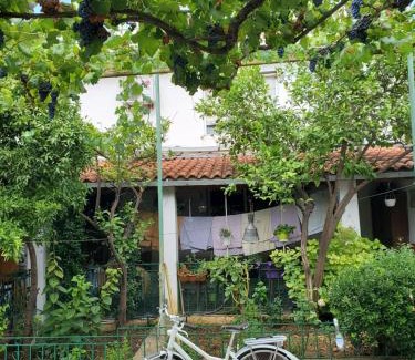 Tirana Villa | Unique Traditional House, hosted by J&G