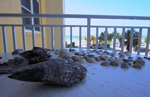 Redington Shores Casa | Unit 107