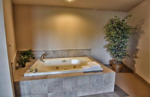 Birchwood Apartamento | Unit 312 1 Bd 1 Ba Condo Condo