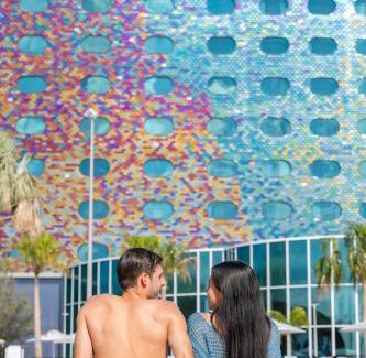 Florida Central Atlantic Coast Complejo | Universal's Stella Nova Resort