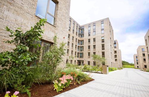 Dangan Hostal | University of Galway Rooms