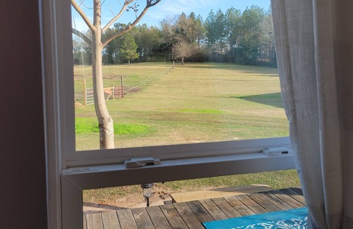 Georgia Coast Casa | Unplug and unwind in this tiny home featured on Season 1 HGTV Tiny house hunter.