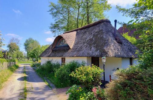 Suderdeich Casa | Unser Froschhaus