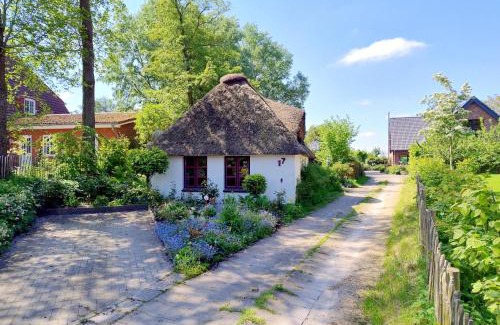 Suderdeich Casa | Unser Froschhaus