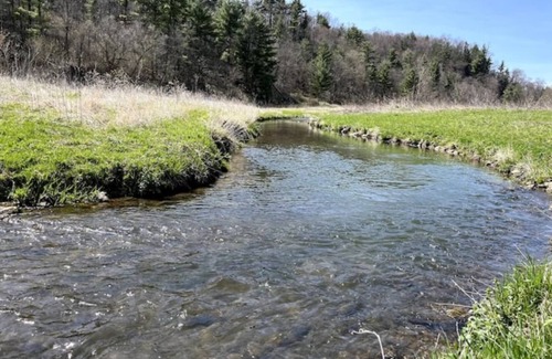 Muscoda Cabina | Unwind at Driftless Pines - NEW