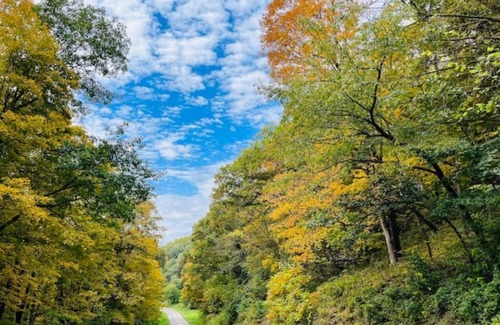 Muscoda Cabina | Unwind at Driftless Pines - NEW