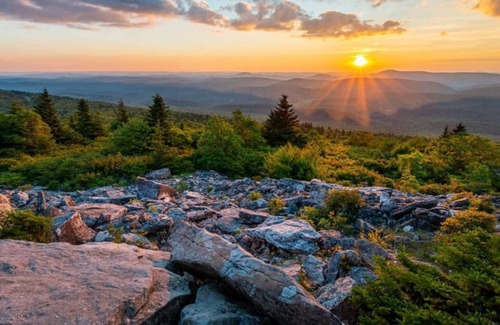 Davis Cabina | Upbeat Cabin - Serene Mountain escape @ Black Bear Resort