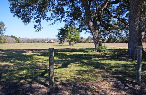 Round Top Cabina | Cabina actualizada en más de 10 acres en la parte superior redonda