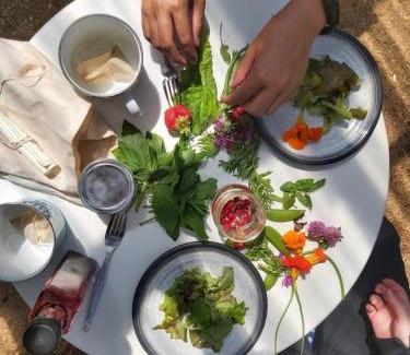 Cormack Cama Y Desayuno | Upper Humber Settlement a FarmStay B&B