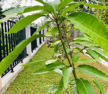 Hettimulla Villa | Upper Stone Bungalow