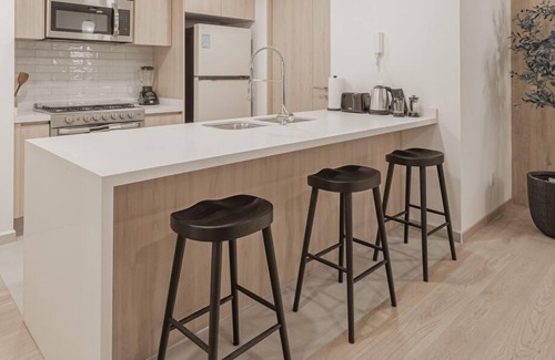 Hipódromo Apartamento | Upscale Apartment In La Condesa