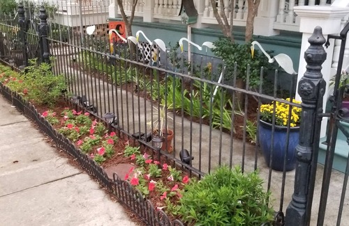 Uptown Historic District Apartamento | Uchown Encantamiento en el corazón de Nueva Orleans es una familia encantadora y amigable