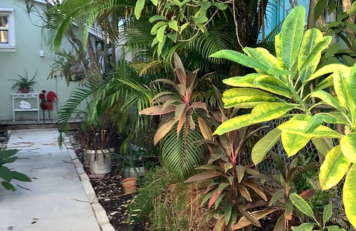 New Town Cabaña | Uptown quiet cottage close to beaches, restaurant & shopping.