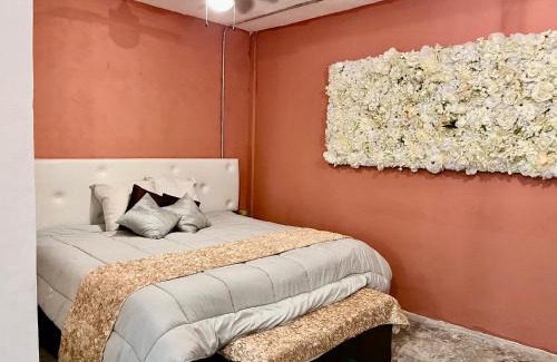 Cancún Apartamento | Urban Jungle Collection