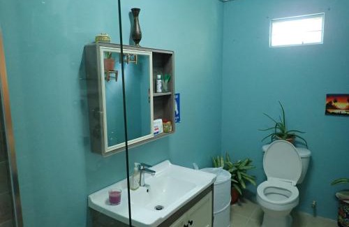 Castries Apartamento | Urban Oasis Apartment