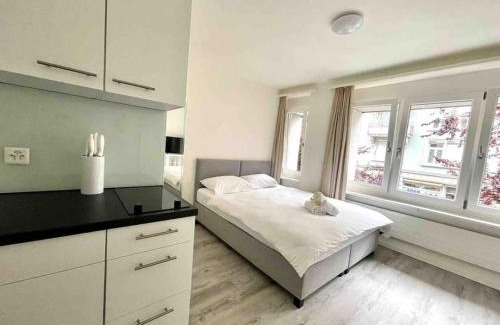 Sihlfeld Apartamento | Urban Oasis with Queen Bed and View BE-14